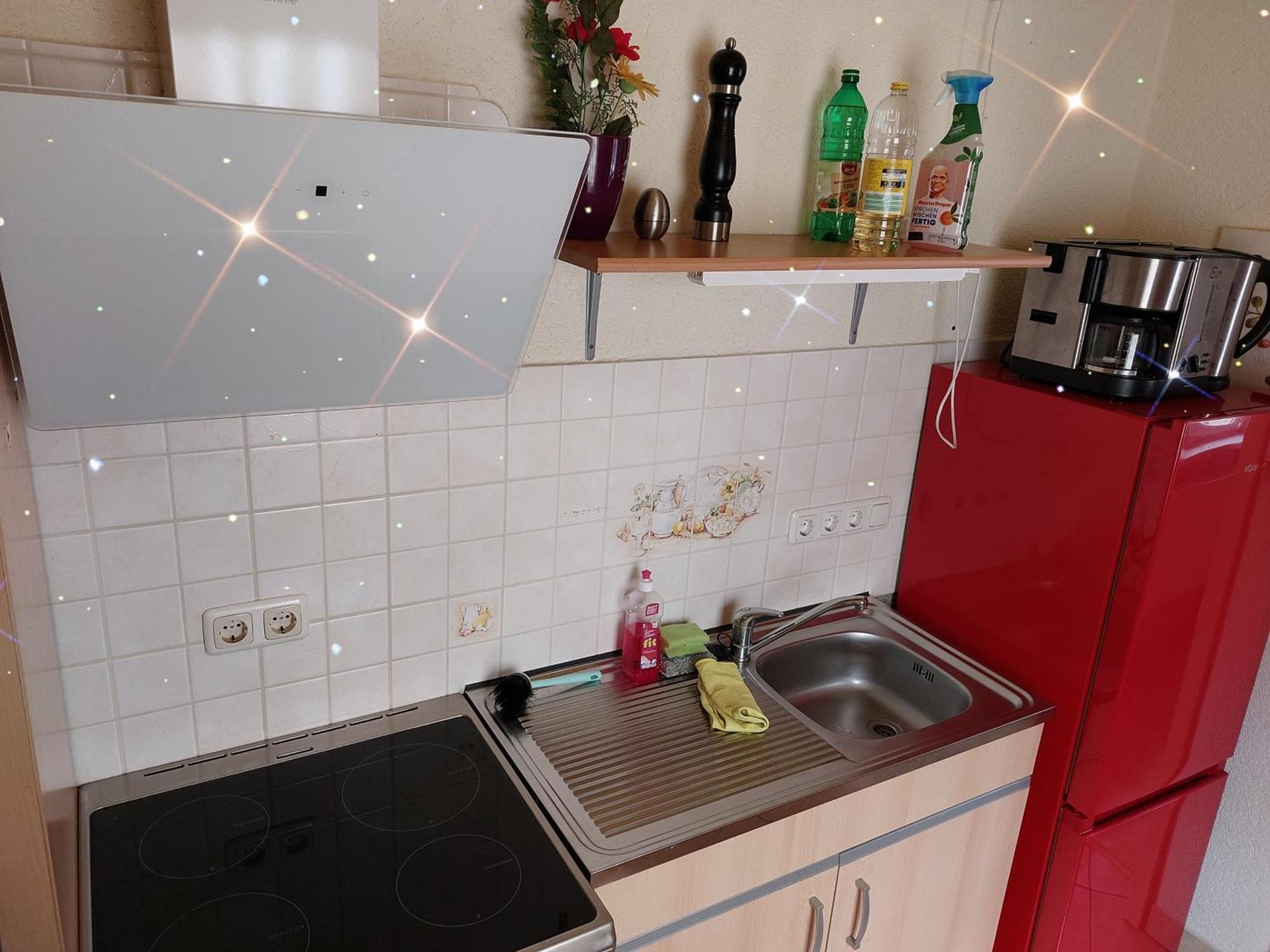 Landhauswohnung Am Thueringer Meer - Fuehlen Wie Zuhause Remptendorf Kültér fotó